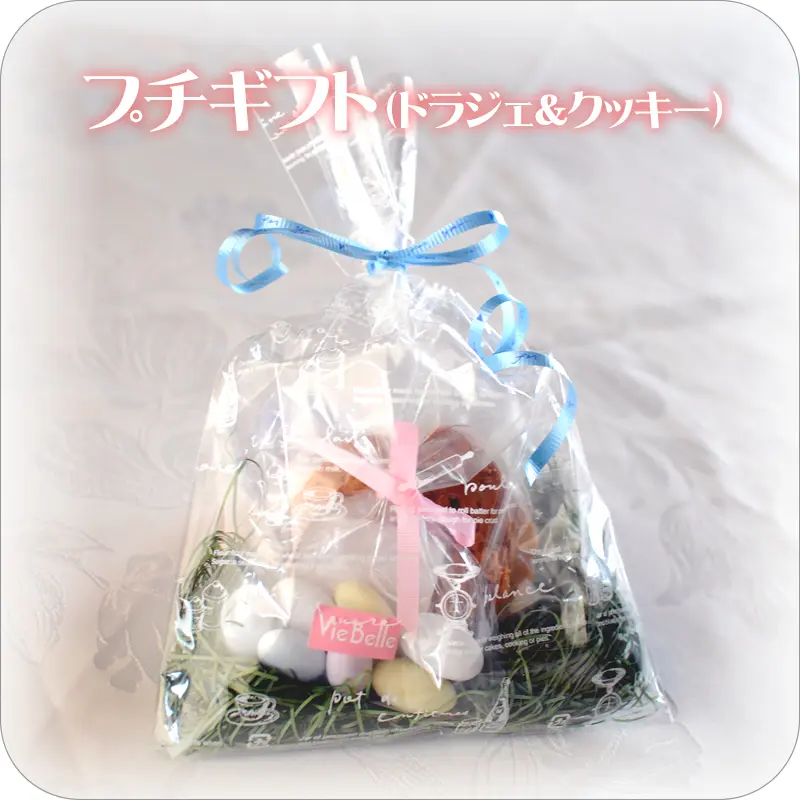 プチギフト＜ドラジェ&クッキー＞
                  